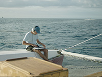 La-baleine-musicien-200-3 © Valde╠üs