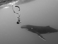 Mere-ocean-200©Jean-Marie-Ghislain